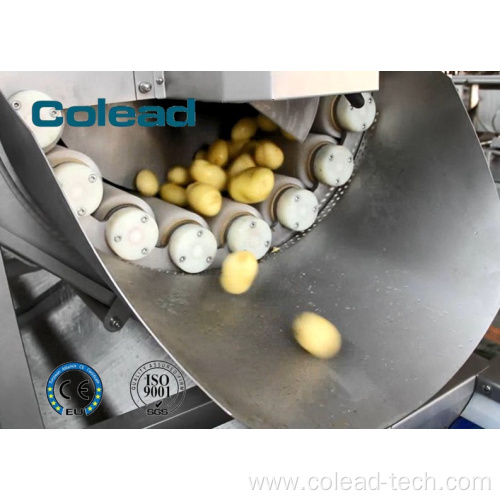 Root Vegetables Continuous Peeling Machine